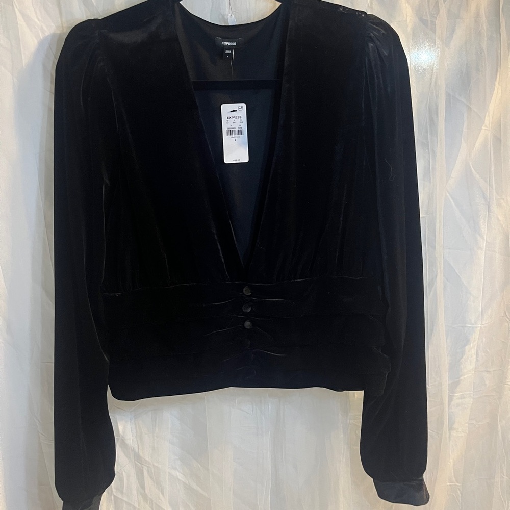 Brand New Express Black Velvet Women's Blouse